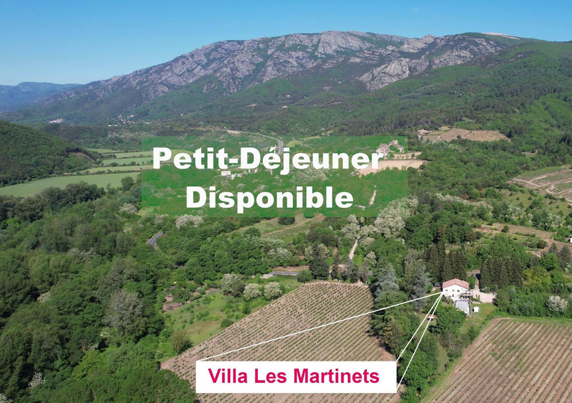 Villa Les Martinets-Piscine-Jacuzzi-Voie Verte-Gorges D'Heric-Massif Du Caroux Mons Olargues 34600 Le Poujol-sur-Orb Exterior photo